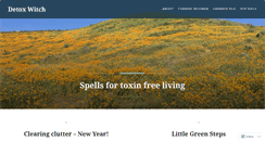 Desktop Screenshot of detoxwitch.com